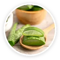 Aloe Vera in Kerassentials