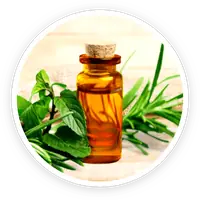 Tea Tree Oil in Kerassentials