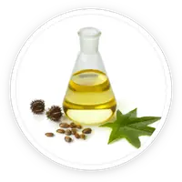 Undecylenic Acid in Kerassentials
